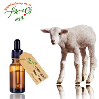 Chiết Xuất Nhau Thai ( Placenta Extract )