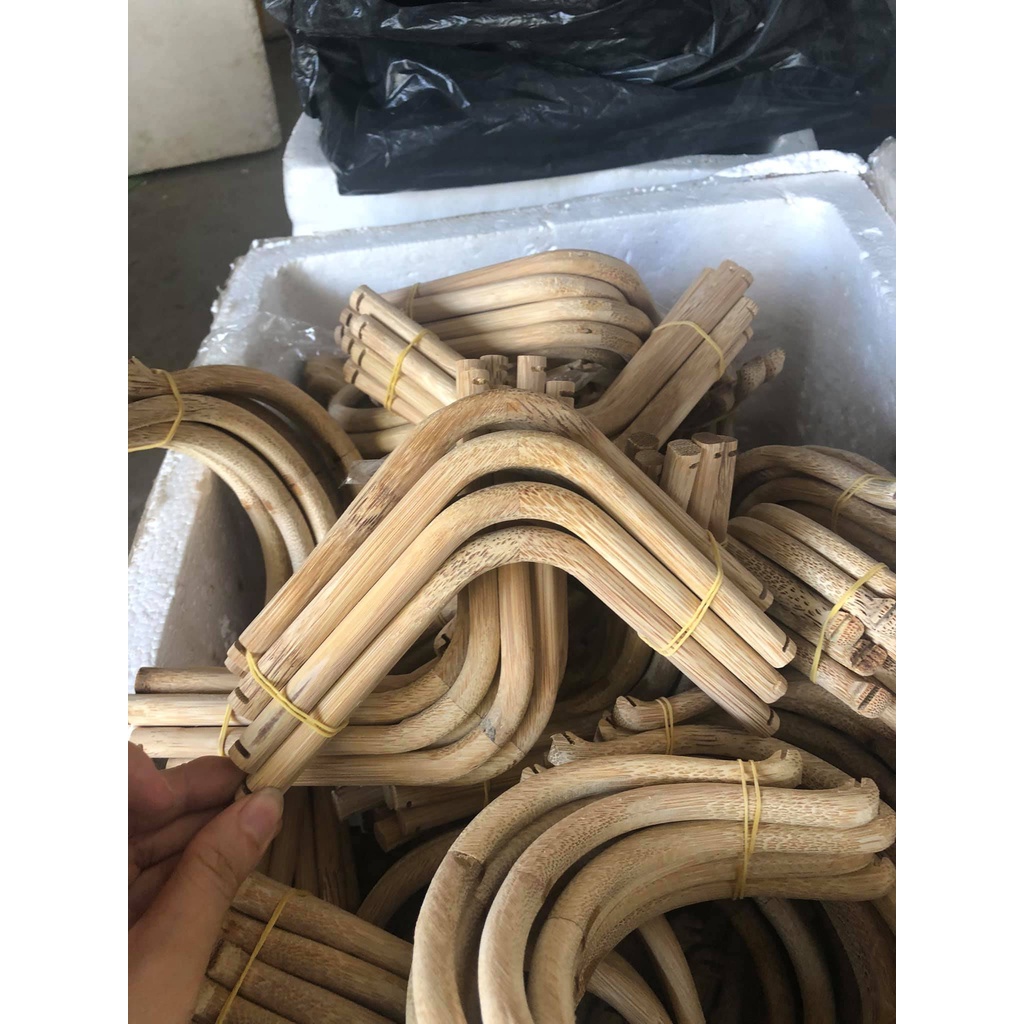 Một đôi cầu góc tre già cho chim chào mào