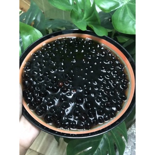 TRÂN CHÂU ĐEN THÁI LAN 1 KG