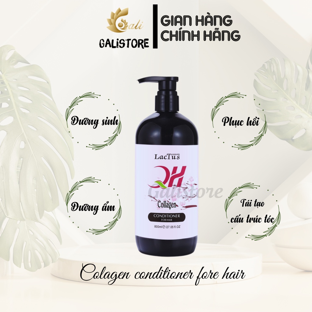 Dầu gội đầu ngăn rụng tóc QH Lactus season dầu gội da dầu, ngăn gàu - Galistore