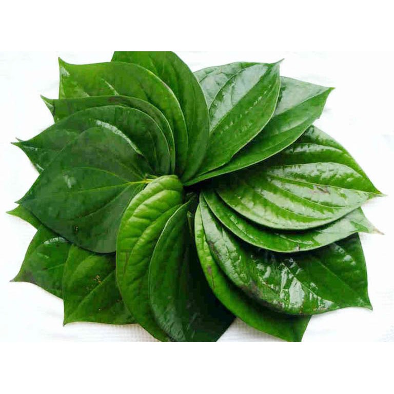 200gram Lá Trầu Không Tươi