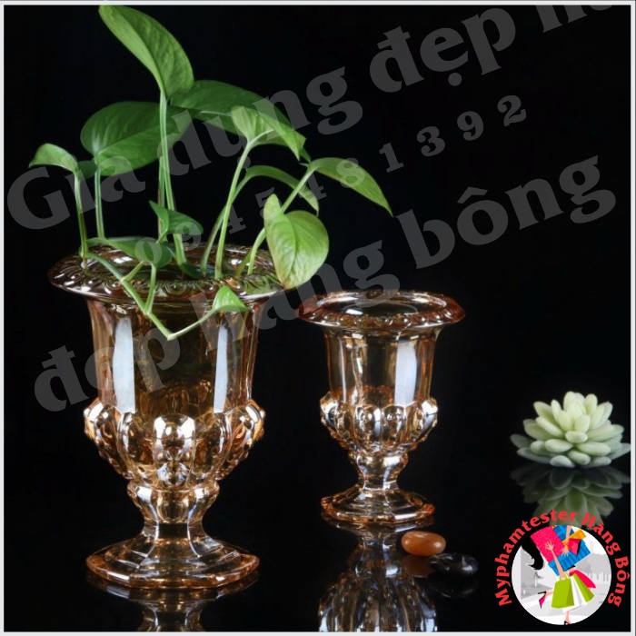 Lọ thủy tinh cắm hoa, cắm phật thủ trang trí đẹp mắt