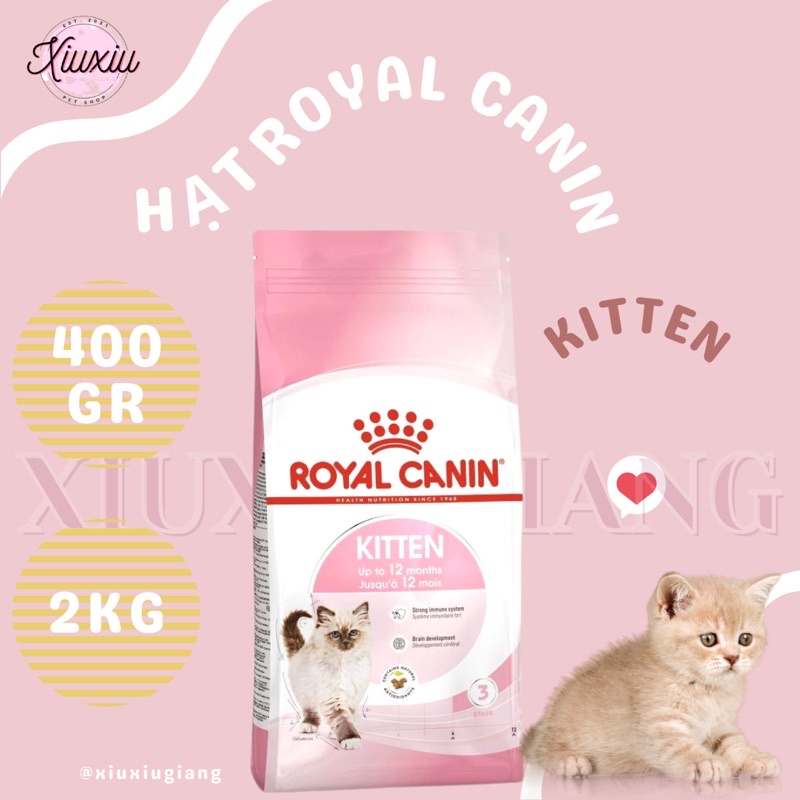 Thức Ăn Hạt Royal Canin Kitten Cho Mèo Con - Xiuxiu Giang