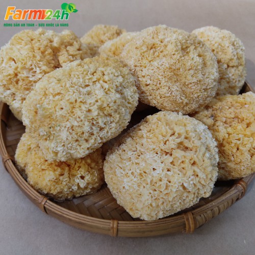 Nấm tuyết nguyên liệu nấu chè, chưng yến thơm ngon, nấm không tẩy an toàn, loại thượng hạng | Farm24h