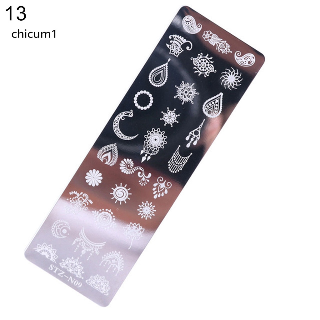 [Hàng mới về] Khuôn in họa tiết/ Bút đánh bóng móng tay hai đầu tiện dụng