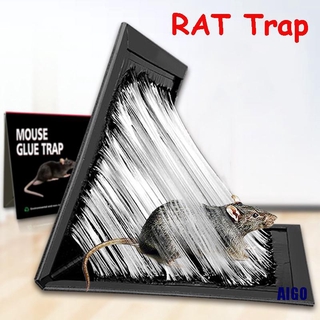 Dụng cụ bẫy chuột hiệu quả