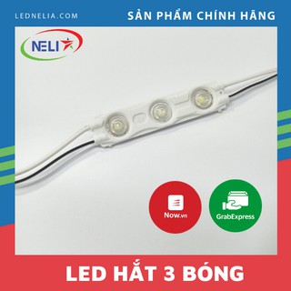 Thanh 3 Bóng LED Hắt Siêu Sáng 12V - Module 3 Bóng Lồi Siêu Sáng 12V