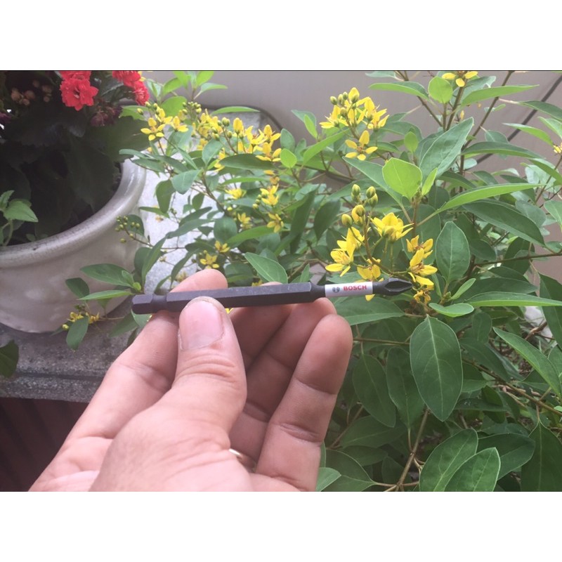 Mũi Vít BOSCH Chính Hãng Ph2 89mm