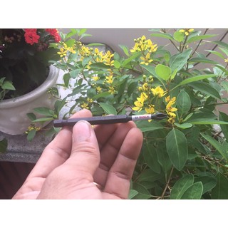 Mũi Vít BOSCH Chính Hãng Ph2 89mm