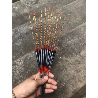 Phao câu đài chuyên câu rô phi