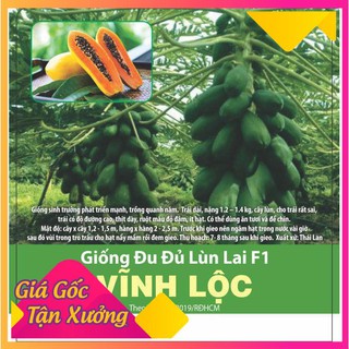 Hạt Giống Đu Đủ Lùn Thái Lan F1 Sai Trái