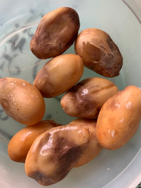 Trái mây Thái Lan 1kg | BigBuy360 - bigbuy360.vn