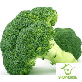 Shophouse hạt giống sup lơ xanh shop house tết khuyến mại