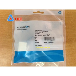 Nhân mạng Cat6 commscope
