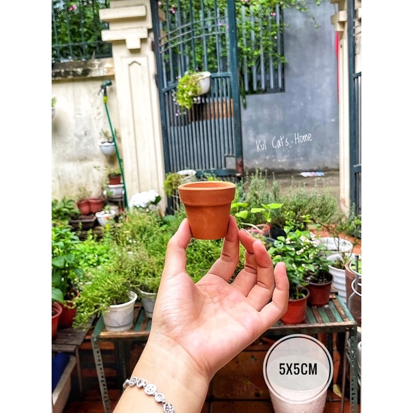 Chậu đất nung mini trồng sen đá xương rồng size 5x5
