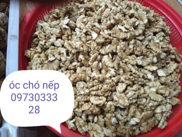 NHÂN ÓC CHÓ NẾP