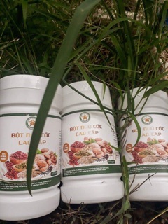 Bột ngũ cốc cao cấp