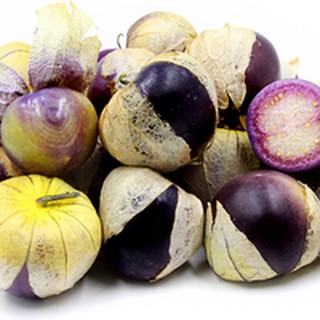 Hạt giống thù lù Tomatillo tím 20h