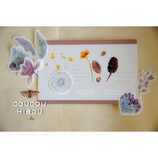 EMERALD MATTE STICKER🌿🌿   bộ sticker 40 miếng