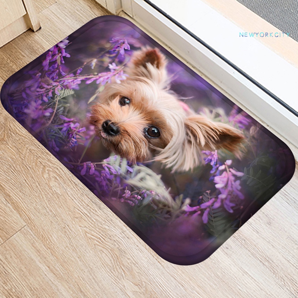 Thảm lót cửa chùi chân Vải Flannel Mềm Mại Thoải Mái Chạm Cảm Ứng In Họa Tiết Hoạt Hình