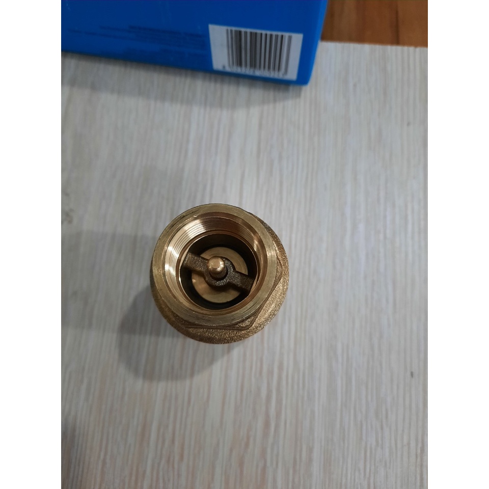 Van 1 chiều lò xo Europa Itap.100 Italy phi 21 phi 27 phi 34 áp 25kg