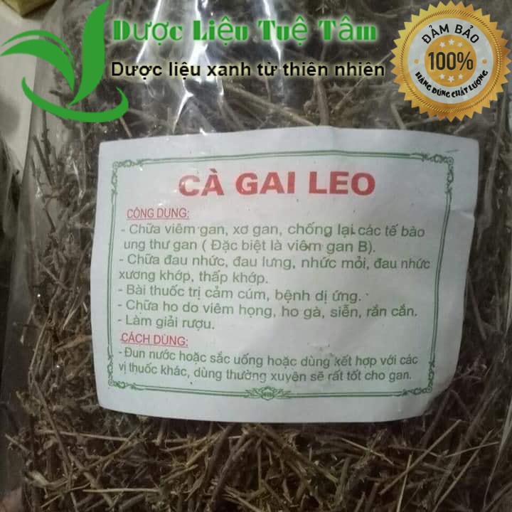 Cây cà gai leo - đạt chuẩn GACP - WHO