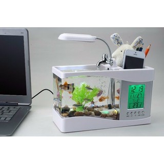 Bể Cá Mini Để Bàn Siêu Dễ Thương + Đồng Hồ