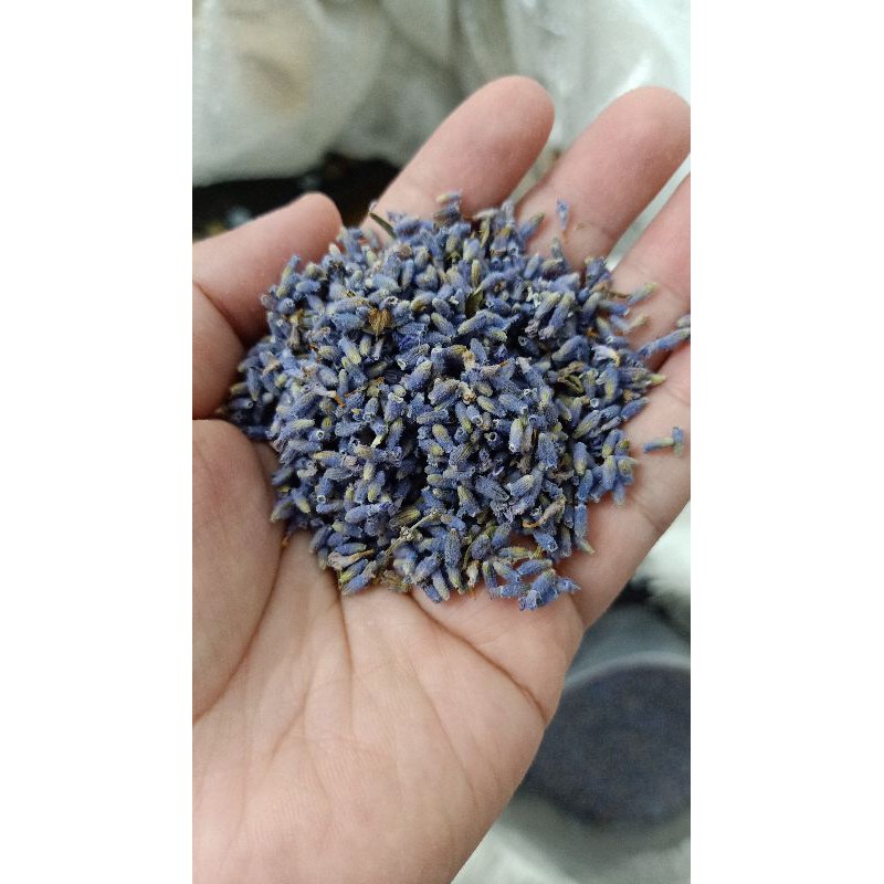 100gr Nụ hoa oải hương lavender khô