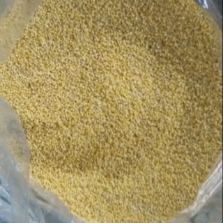 Hạt kê nếp màu vàng hạt nhỏ