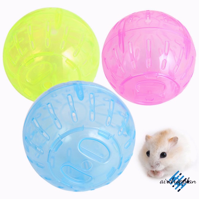 Bóng Đồ Chơi Bằng Nhựa Cho Chuột Hamster