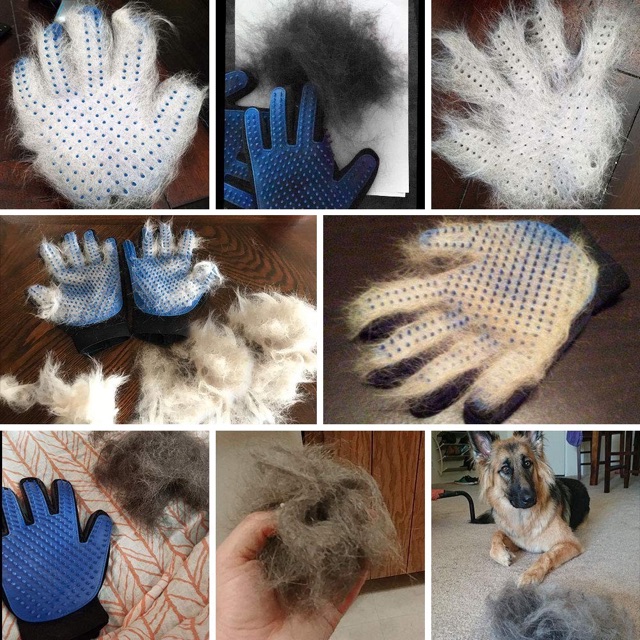 Găng tay chải lông True Touch cho chó mèo