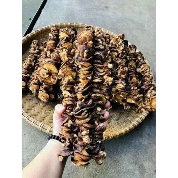 🍀HÀNG TỐT🍀 Nấm hương rừng xiên loại 1