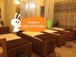 Ga trải giường spa