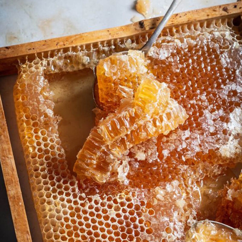 Mật Ong Hoa Cà Phê 100% Nguyên Chất Chai 1L (1,5kg) - Mật ong tự nhiên tốt cho sức khỏe [Tặng Nấm Hồng Chi]
