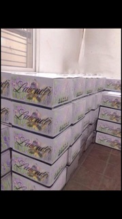 Sale👉DẦU GỘI LAVENDER