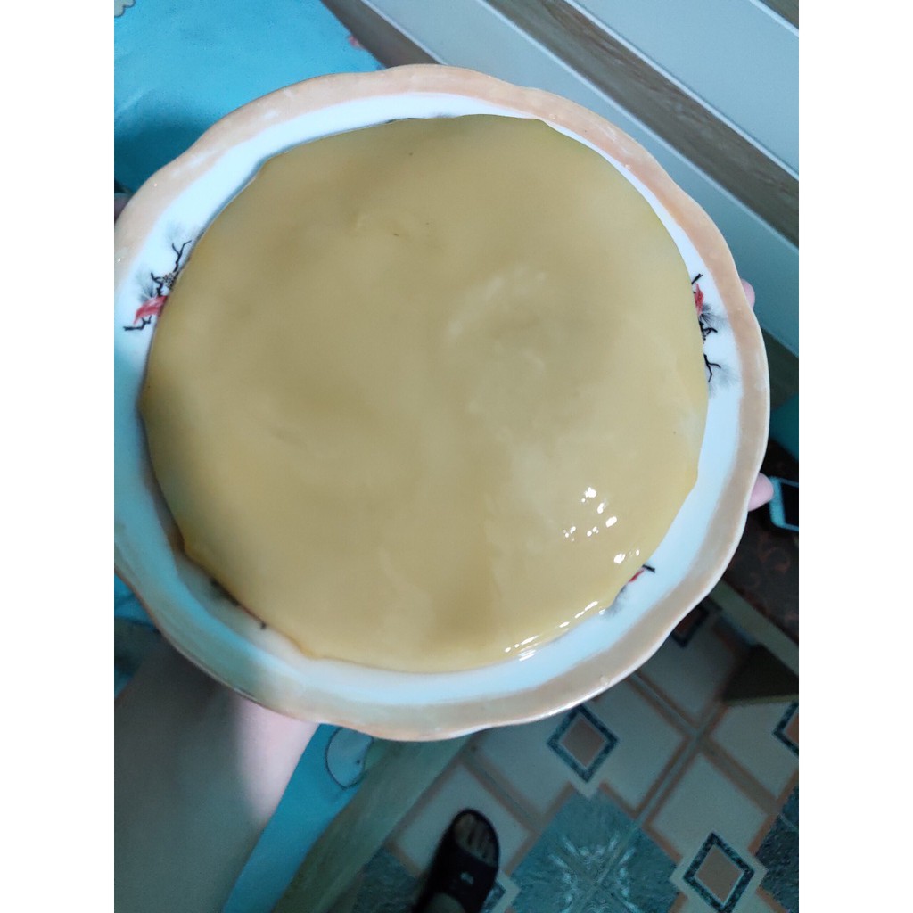 Nấm Kombucha/scoby kèm nước mồi | BigBuy360 - bigbuy360.vn