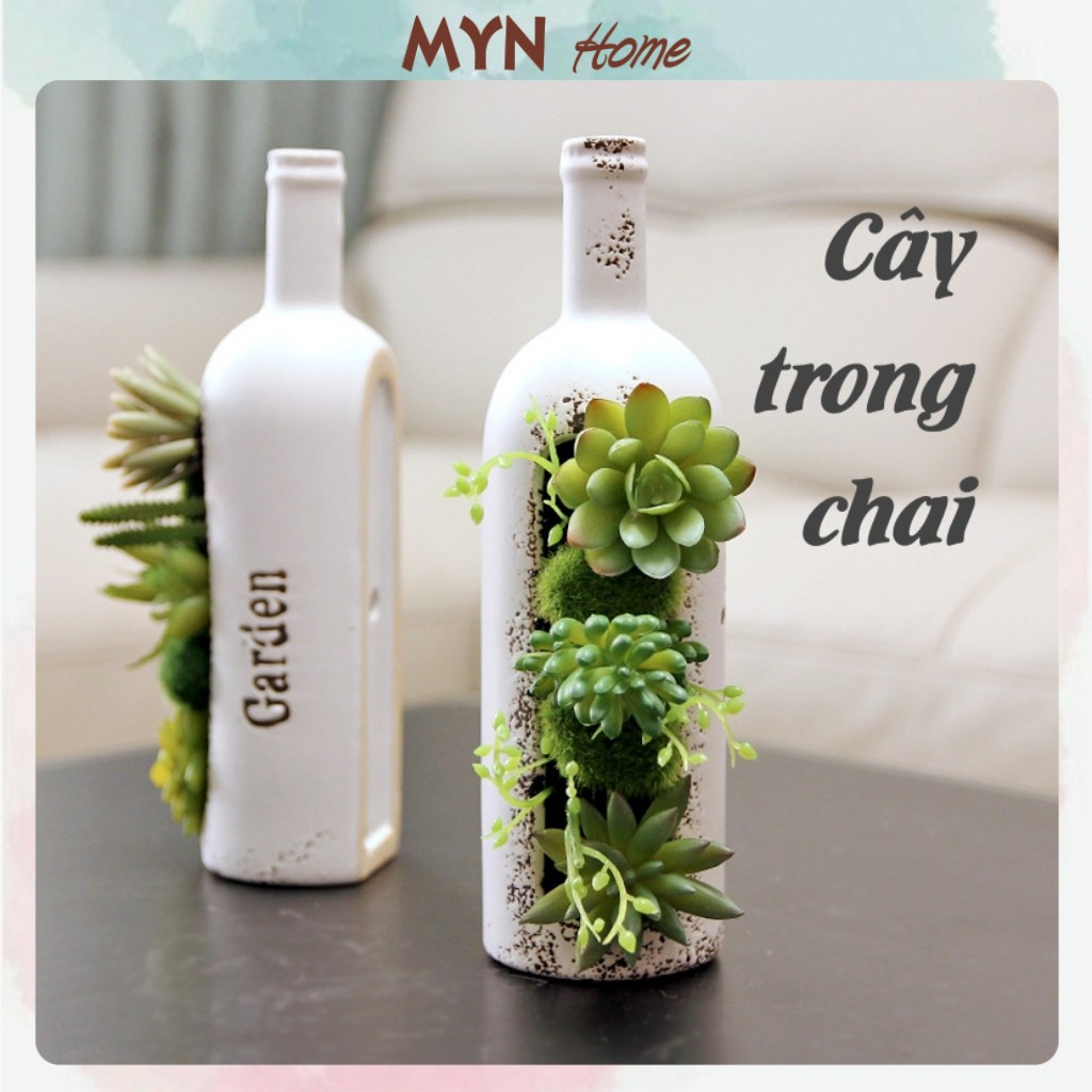 Cây sen đá cắm sẵn trong chai decor độc đáo, trang trí nhà cửa kt 23*7cm MYN Home