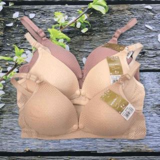 Áo ngực cài cúc sét 3 cái