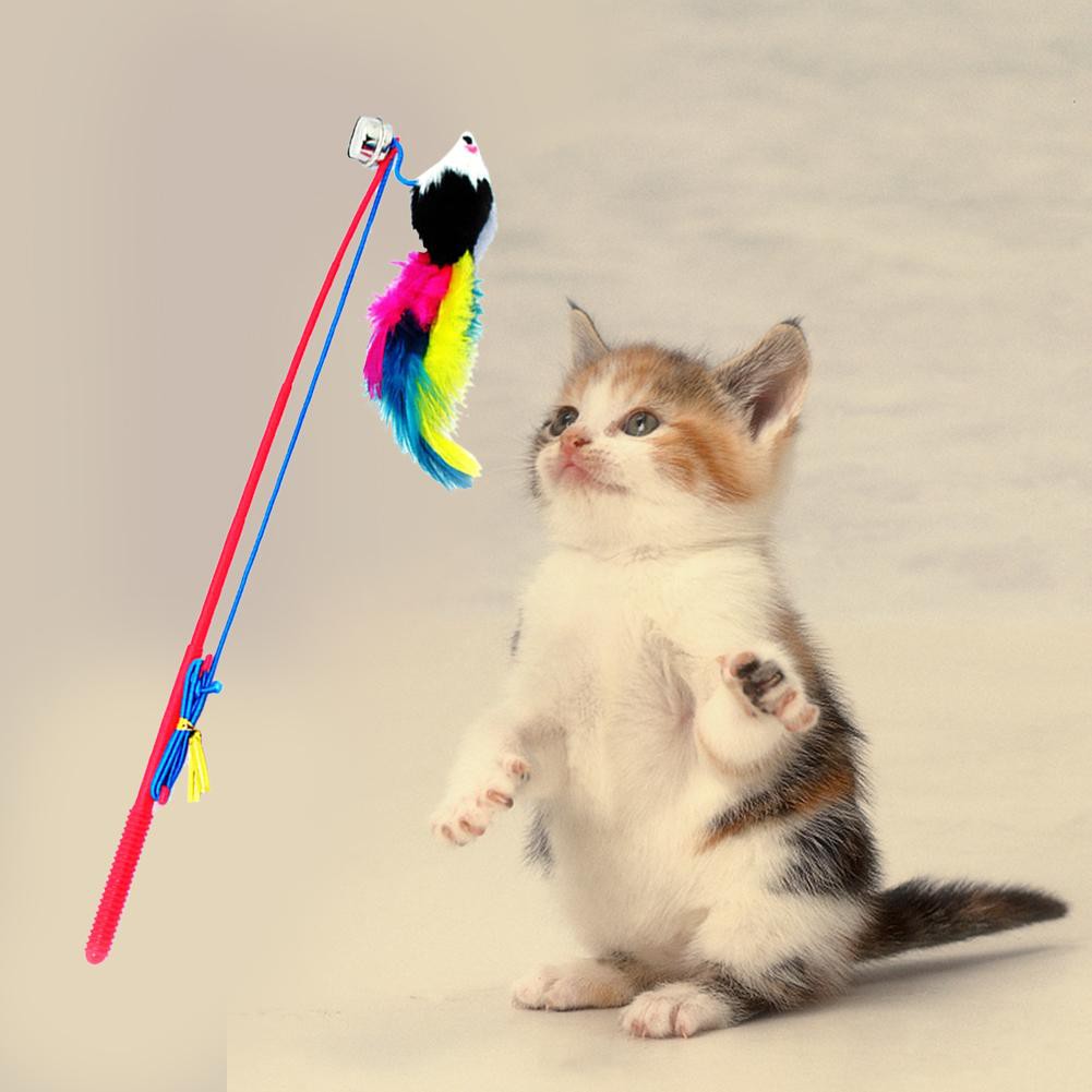 Đồ chơi tương tác thú vị cho mèo cưng vui nhộn