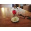 Night-luminous BEAUTY and the BEAST enchanted ROSE glass BELLE punk