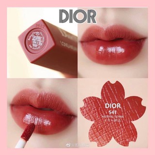 Son Dior 541