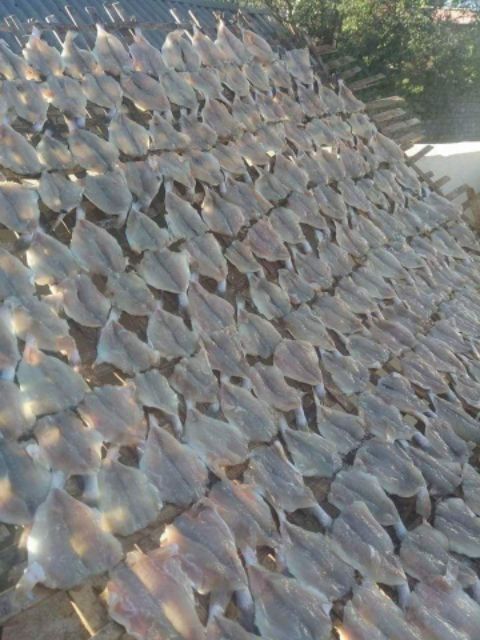 CÁ CHỈ VÀNG loại 1 dẻo ngon, ngọt thịt | BigBuy360 - bigbuy360.vn