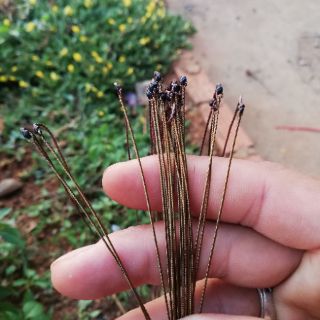 Giò chân đồng bẫy gà
