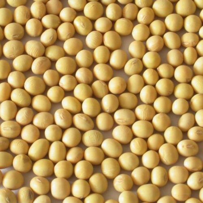 1 kg đậu tương xay nhỏ dùng làm phân bón