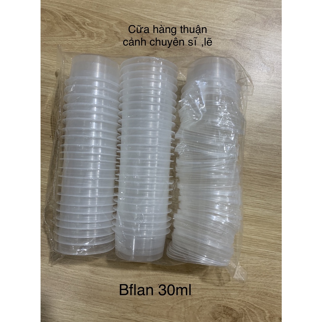 Hủ bánh flan
