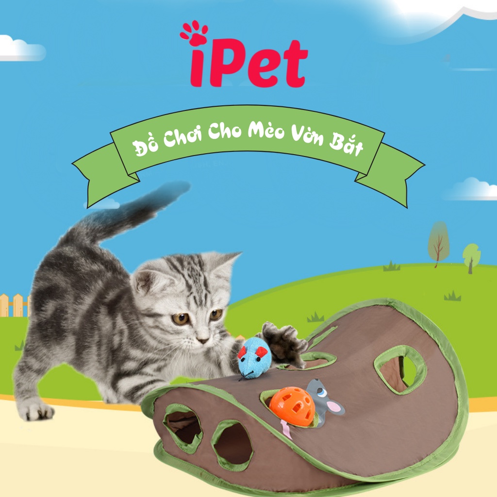 Đồ Chơi Cho Mèo Vờn Bắt Săn Chuột Dạng Hộp Vải - iPet Shop