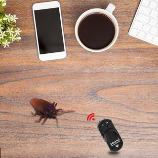 Gián đồ chơi khăm bạn bè có điều khiển từ xa