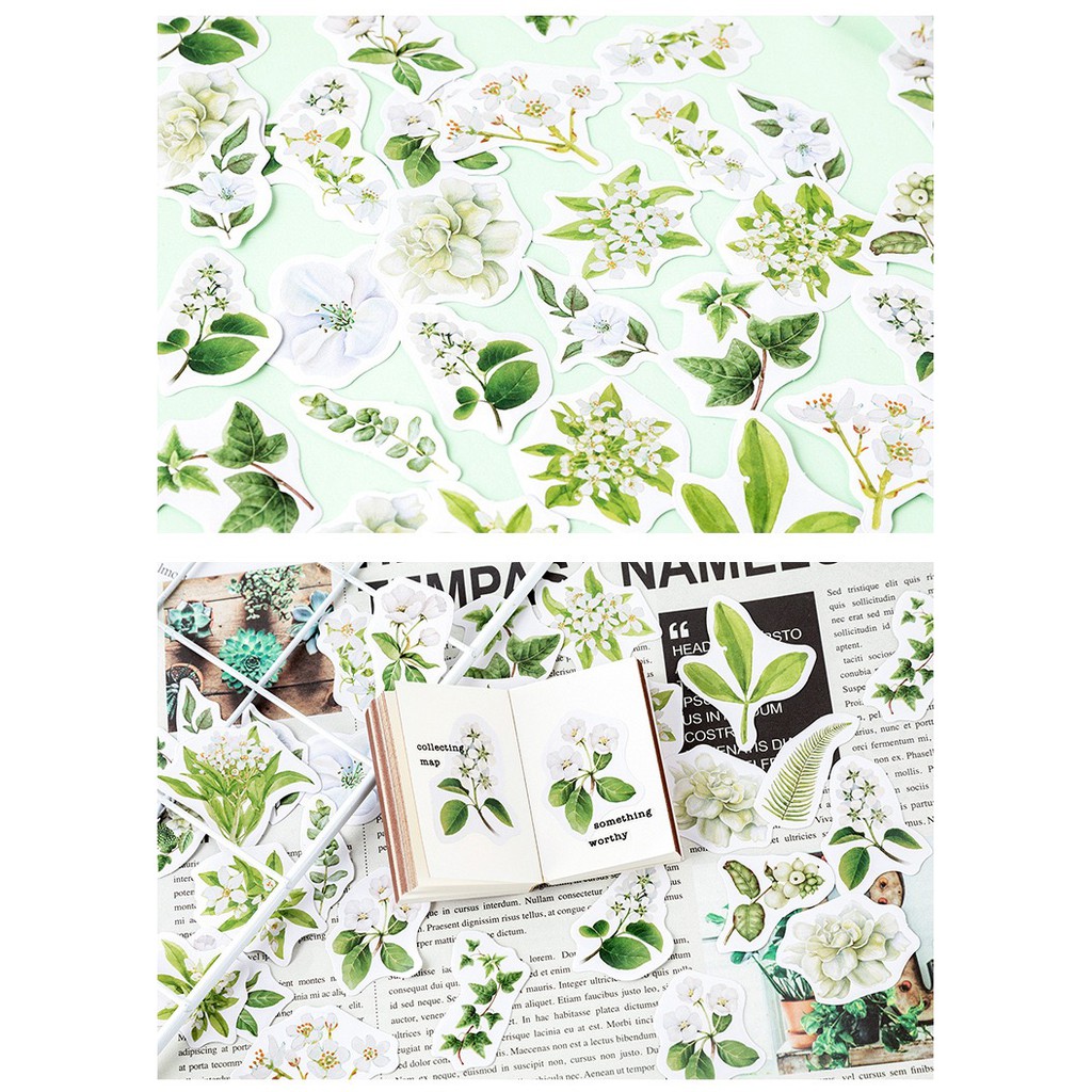 Bộ sticker/ Hình dán Kiểu Dáng Hình Lá &amp; Hoa Trắng (46 Hình)