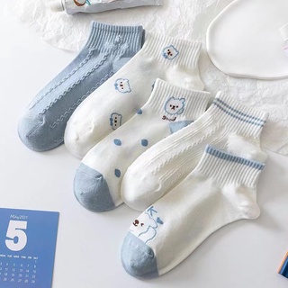 Vớ gấu xanh set 5 đôi