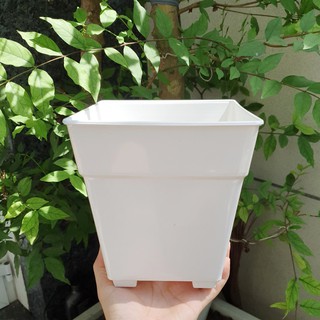Combo 10 chậu vuông trồng hoa nhựa trắng 17x18cm